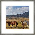 Wapiti Horses-signed-#3241 Framed Print