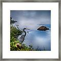 Watchful Framed Print