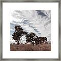 Watching Clouds Float Across The Sky Framed Print