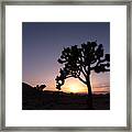 Mystical Sunset Joshua Tree National Park Framed Print