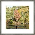 Watching The Colors Change Framed Print