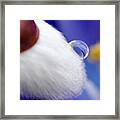 Water Drop On Willow Framed Print