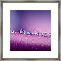 Water Drops Abstract Framed Print
