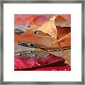 Water Drops On Autumn Leaves Framed Print