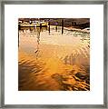 Water Into Gold Framed Print