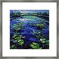 Water Lilies Magic Framed Print