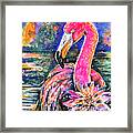 Water Lily And Flamingo Framed Print