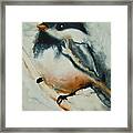 Watercolor Chickadee Framed Print