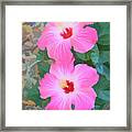 Watercolor Pink Hibiscus Blooms Vertical Framed Print