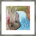 Waterfall And The 3 Birch Trees Framed Print