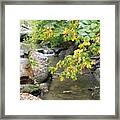 Waterfall In Central Park Framed Print