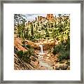 Waterfall In Mossy Cave Framed Print