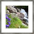 Waterfalls And Bluebells Framed Print