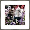 Watering Can Do Cat Framed Print