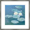 Waterlilies Evening Framed Print