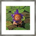 Tayla As A Waterlily Framed Print