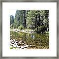 Wawona 3 Framed Print