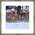 We Wish You A Merry Christmas Framed Print