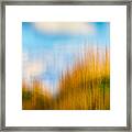 Weeds Under A Soft Blue Sky Framed Print