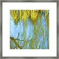 Weeping Willow - Reflections In Water Framed Print
