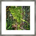 Welcome To The Jungle 2 Framed Print