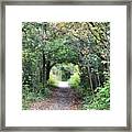 Welcome To The Wooded Path Framed Print