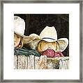 Western Daydreams Framed Print