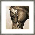 Western Pleasure Quarter Horse In Sepia Framed Print
