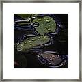 Wet Framed Print