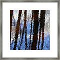 Wetland Reflections 200 Framed Print