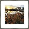 Wetland Sunrise In Hackmatach National Wildlife Refuge Framed Print