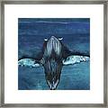 Whale Iii Framed Print