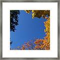 What A Day - Photograph Framed Print