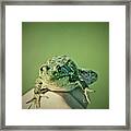 What Are You Looking At Framed Print
