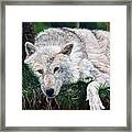 What Are You Looking At Framed Print