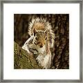 What's Up? Framed Print