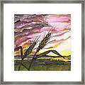 Wheat Field Framed Print