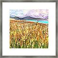 Wheat Landscape Framed Print