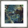 When Grizzlies Play Ii Framed Print