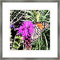 When Nature Calls Framed Print