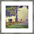 When The Cows Come Home - Blue Ridge Ap Framed Print