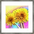 Whispers Of Joy Framed Print