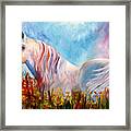 White Arabian Horse Framed Print