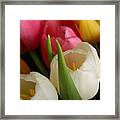 White Balance In Spring Framed Print