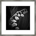 White Bell Flowers For Wall Art Prints Framed Print