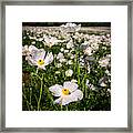 White Framed Print