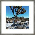 White Christmas 2016 Framed Print