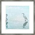 White Cranes - Blue Framed Print