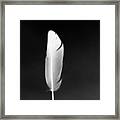 White Feather Framed Print