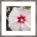 White Flower Framed Print